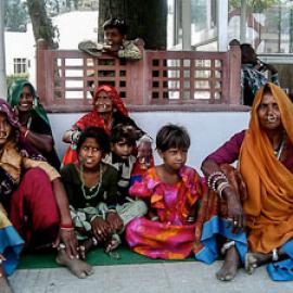 Visiting the World Wide Fund for Nature in India